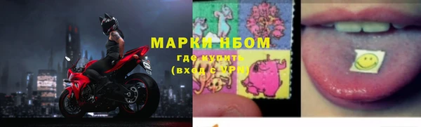 дживик Баксан