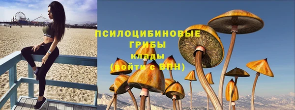 мескалин Арсеньев