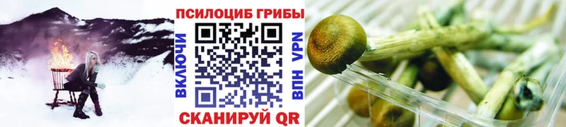 Псилоцибиновые грибы мицелий  Жигулёвск 